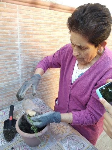 AROAL alzheimer Ronda (24)