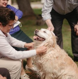 AROAL alzheimer Ronda (26)