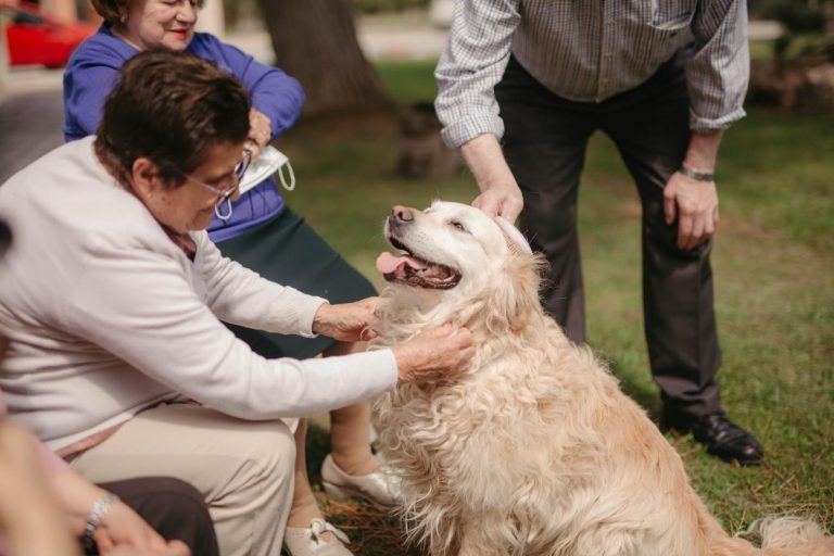 AROAL alzheimer Ronda (26)